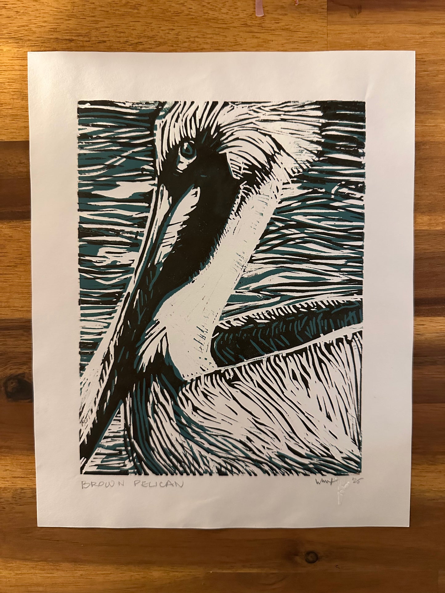 brown pelican - print by Laura Cox